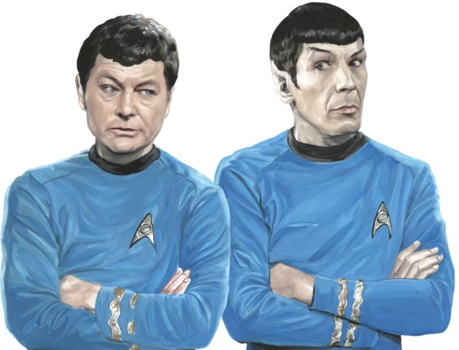 spock and kirk – borg